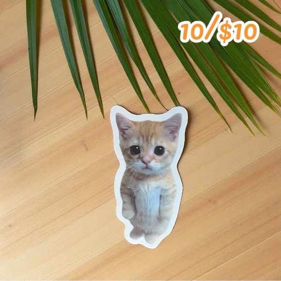 Sad Kitten Vinyl Sticker - Size: 2.5” - Picture 1 of 1
